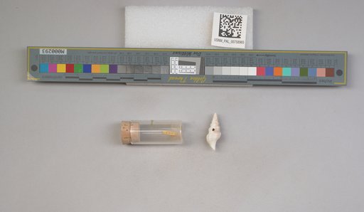 NSF ADBC EPICC TCN