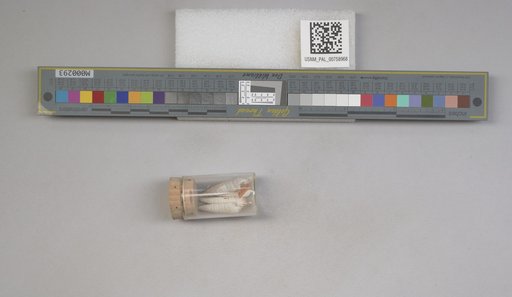 NSF ADBC EPICC TCN