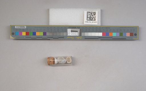 NSF ADBC EPICC TCN