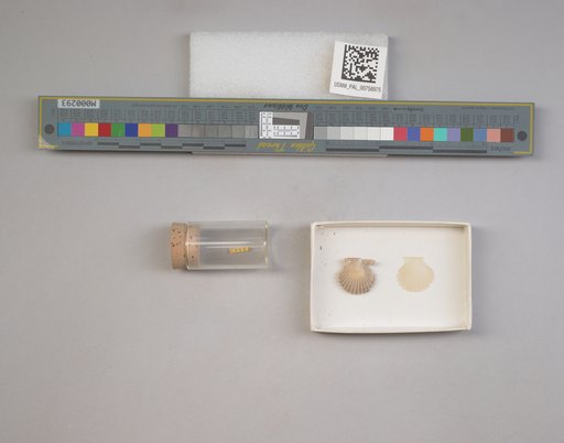 NSF ADBC EPICC TCN