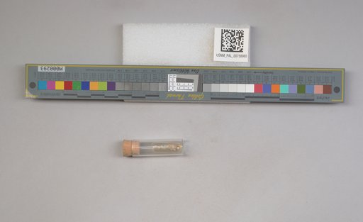 NSF ADBC EPICC TCN