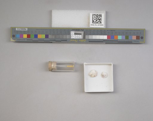 NSF ADBC EPICC TCN