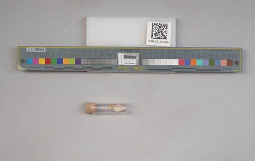 NSF ADBC EPICC TCN