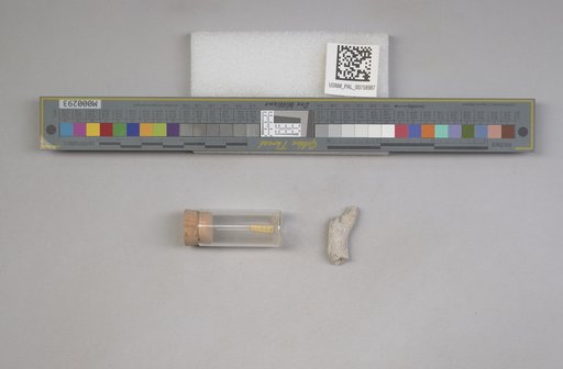 NSF ADBC EPICC TCN