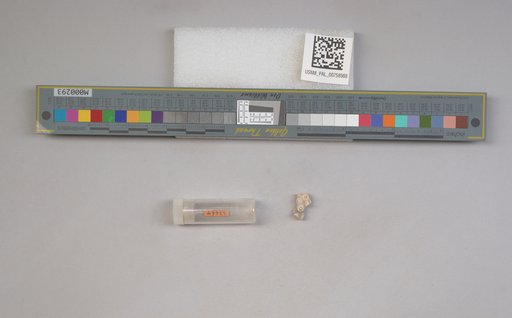NSF ADBC EPICC TCN