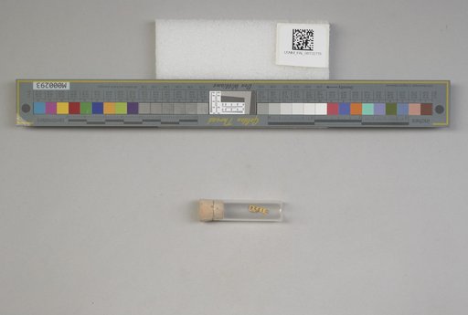 NSF ADBC EPICC TCN