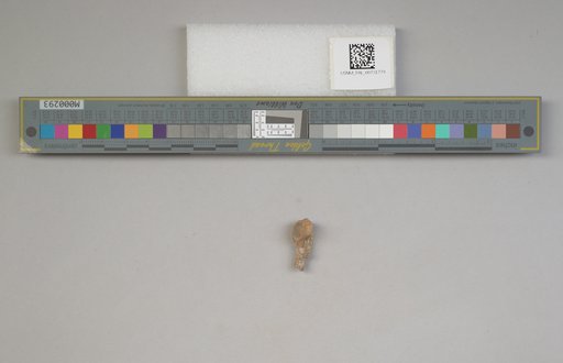 NSF ADBC EPICC TCN