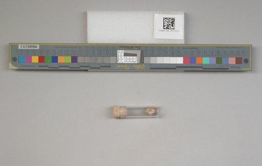NSF ADBC EPICC TCN