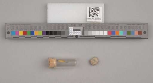 NSF ADBC EPICC TCN