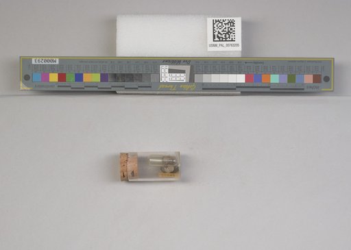 NSF ADBC EPICC TCN