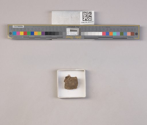 NSF ADBC EPICC TCN