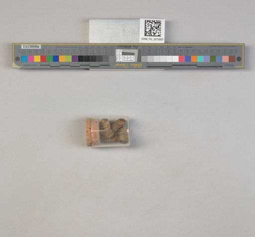NSF ADBC EPICC TCN
