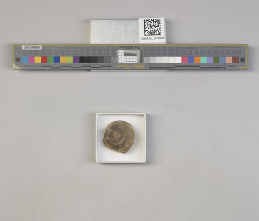 NSF ADBC EPICC TCN