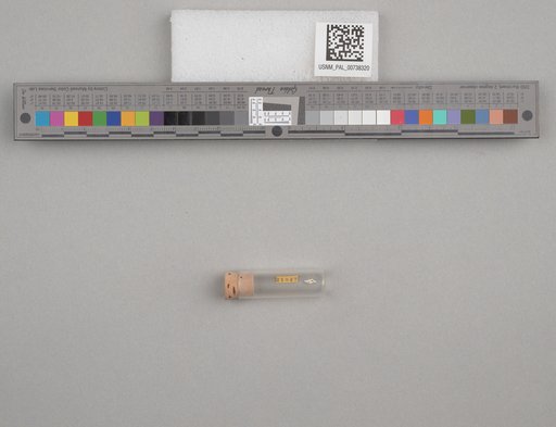 NSF ADBC EPICC TCN