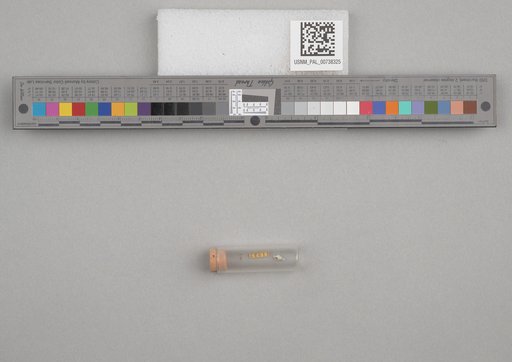 NSF ADBC EPICC TCN