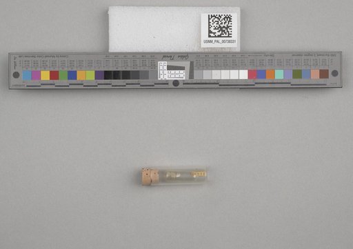 NSF ADBC EPICC TCN