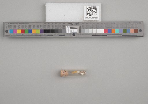 NSF ADBC EPICC TCN