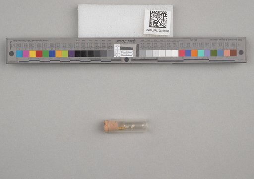 NSF ADBC EPICC TCN