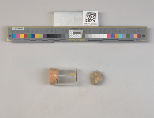 NSF ADBC EPICC TCN