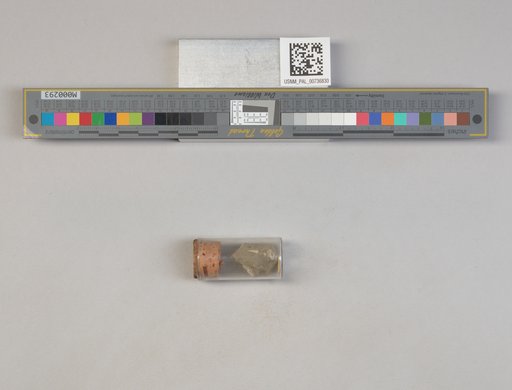 NSF ADBC EPICC TCN