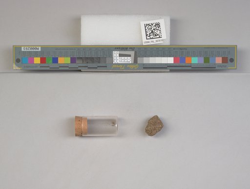 NSF ADBC EPICC TCN