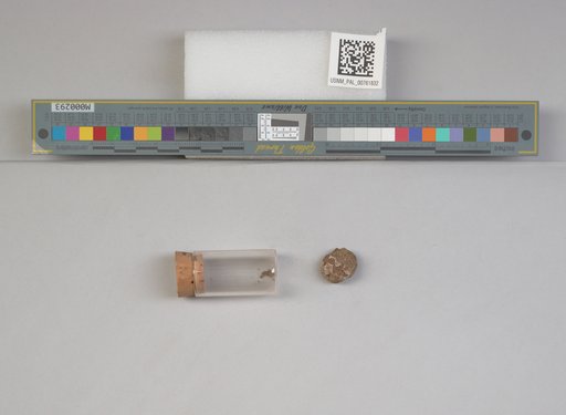 NSF ADBC EPICC TCN