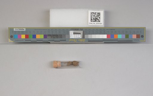 NSF ADBC EPICC TCN