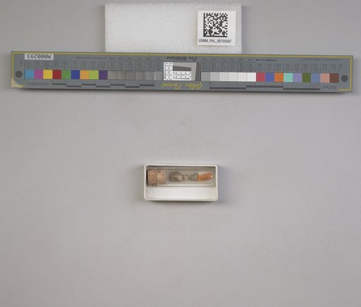 NSF ADBC EPICC TCN