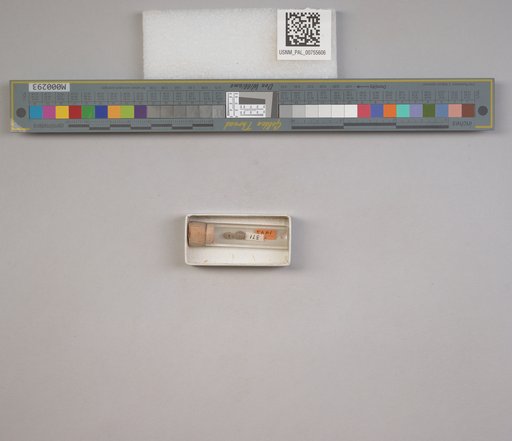 NSF ADBC EPICC TCN