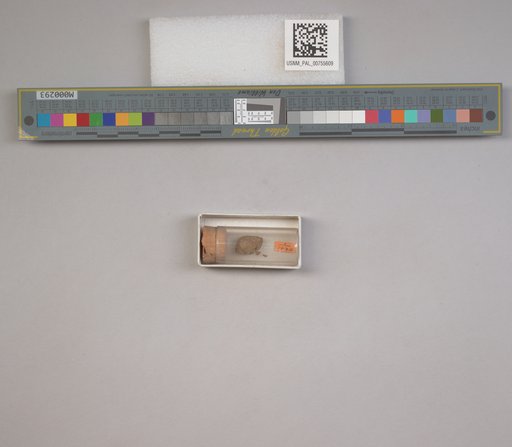 NSF ADBC EPICC TCN
