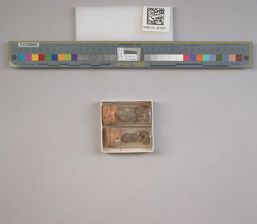 NSF ADBC EPICC TCN