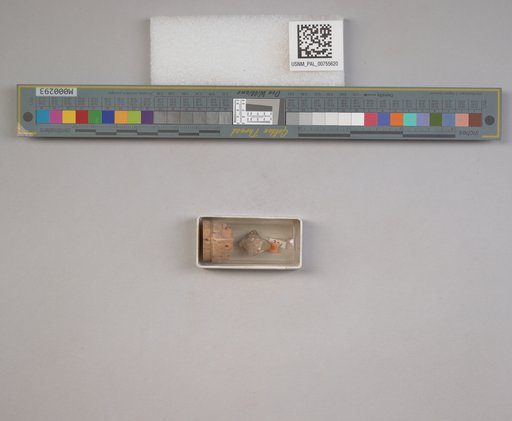 NSF ADBC EPICC TCN