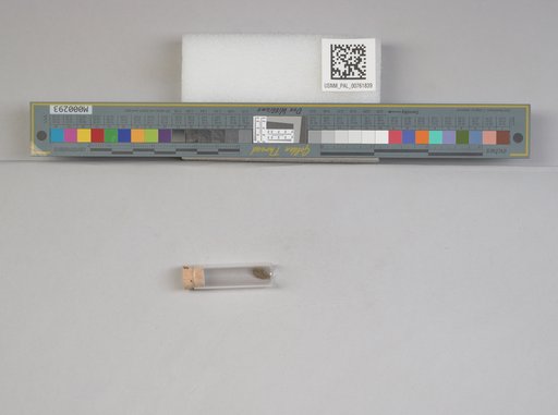 NSF ADBC EPICC TCN