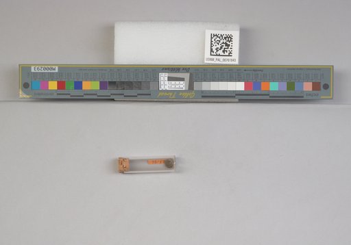 NSF ADBC EPICC TCN