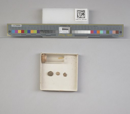 NSF ADBC EPICC TCN