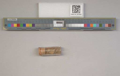 NSF ADBC EPICC TCN