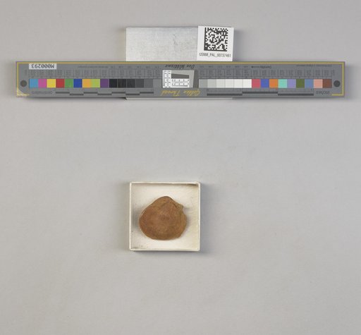 NSF ADBC EPICC TCN