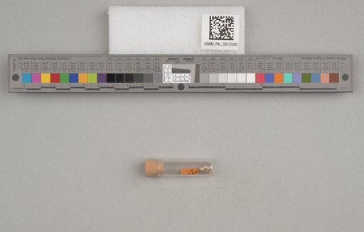 NSF ADBC EPICC TCN