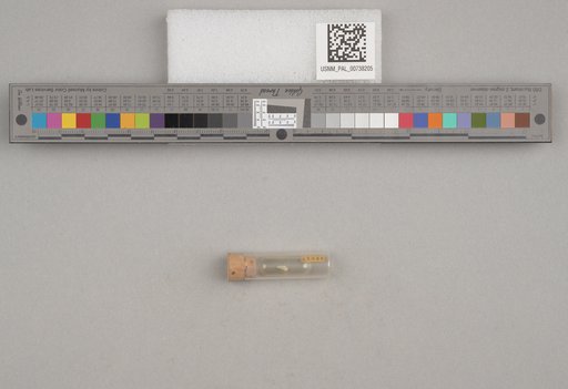 NSF ADBC EPICC TCN