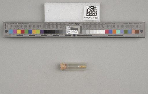 NSF ADBC EPICC TCN