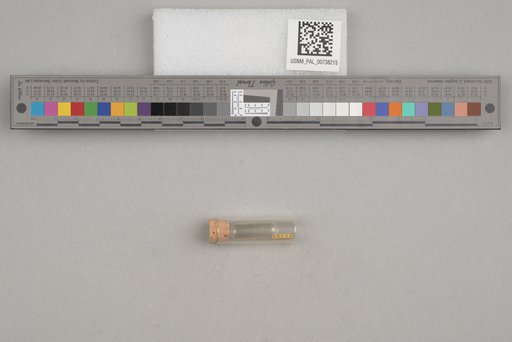 NSF ADBC EPICC TCN