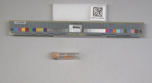 NSF ADBC EPICC TCN