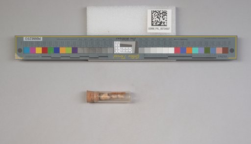 NSF ADBC EPICC TCN