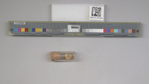 NSF ADBC EPICC TCN