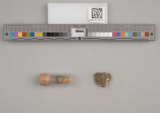NSF ADBC EPICC TCN