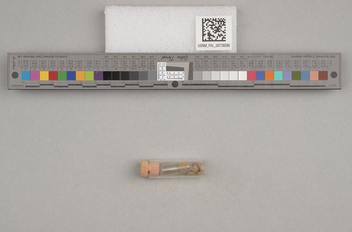 NSF ADBC EPICC TCN