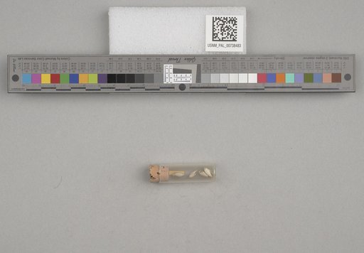 NSF ADBC EPICC TCN