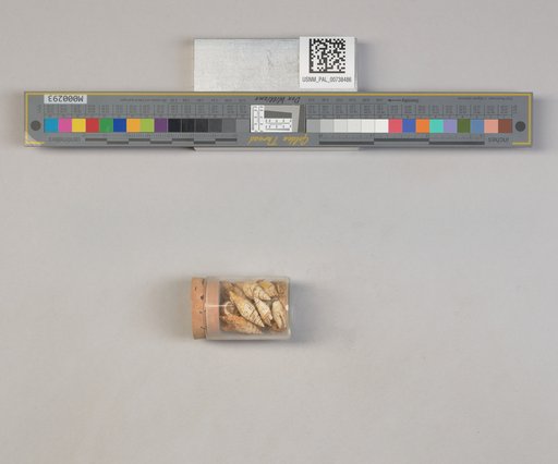 NSF ADBC EPICC TCN