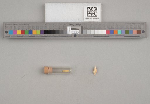 NSF ADBC EPICC TCN