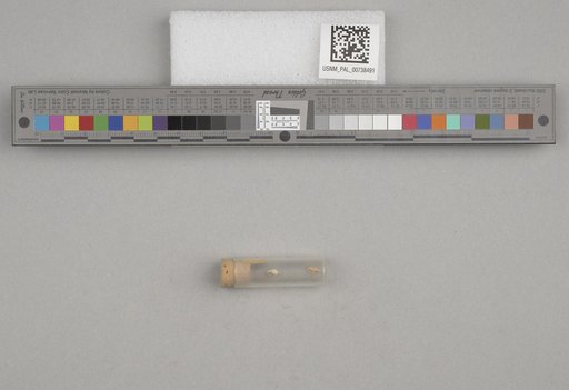 NSF ADBC EPICC TCN